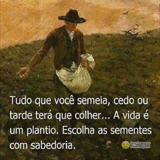 A vida é um plantio