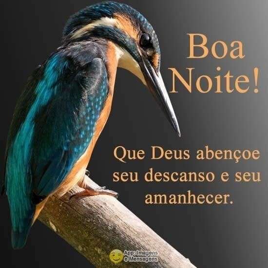Boa noite