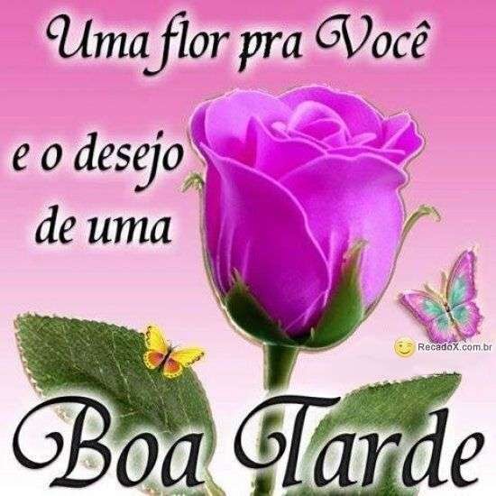 Boa tarde