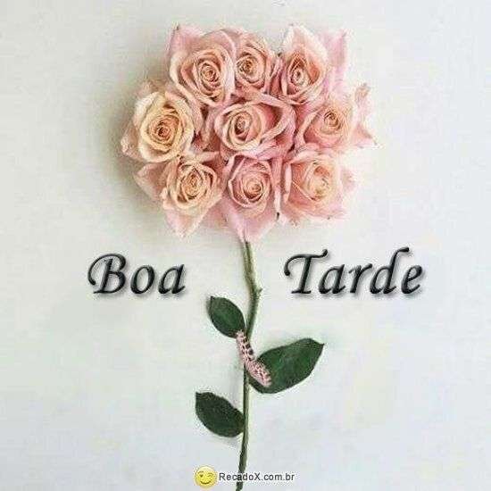 Boa tarde