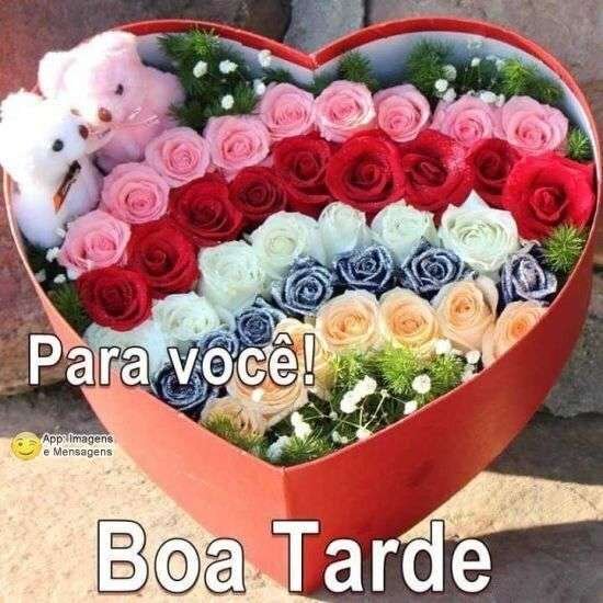 Boa tarde