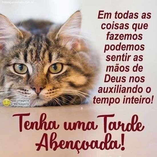 Boa tarde abençoada