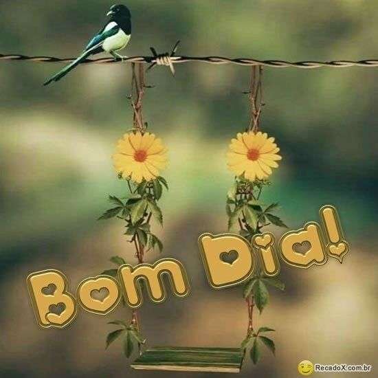 Bom dia