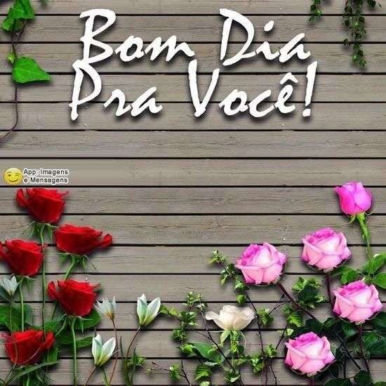 Bom dia