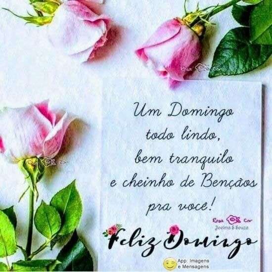 Feliz domingo