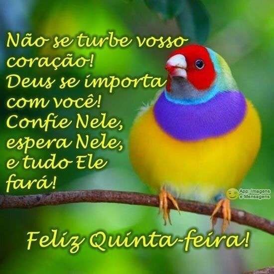 Feliz quinta-feira