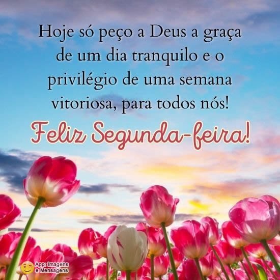 Feliz Segunda-feira