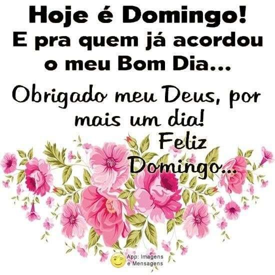 Hoje é domingo