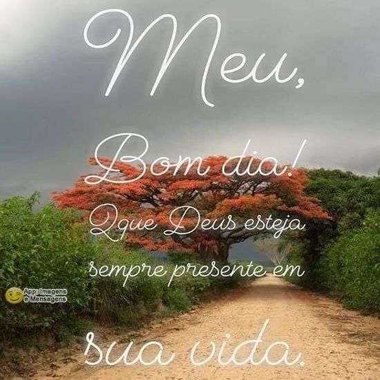 Meu bom dia