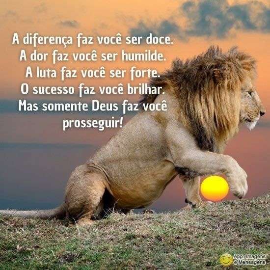 Reflexão do dia