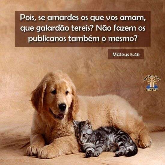 Se amardes