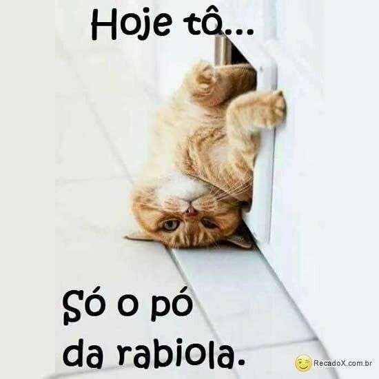 Tô só o pó da rabiola