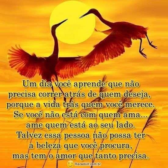 Um dia você aprende