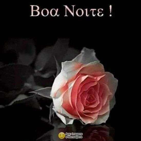 Boa noite