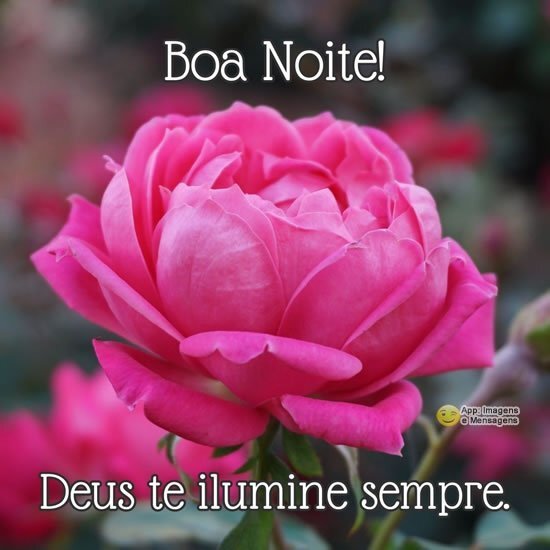 Boa noite