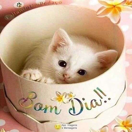 Bom dia
