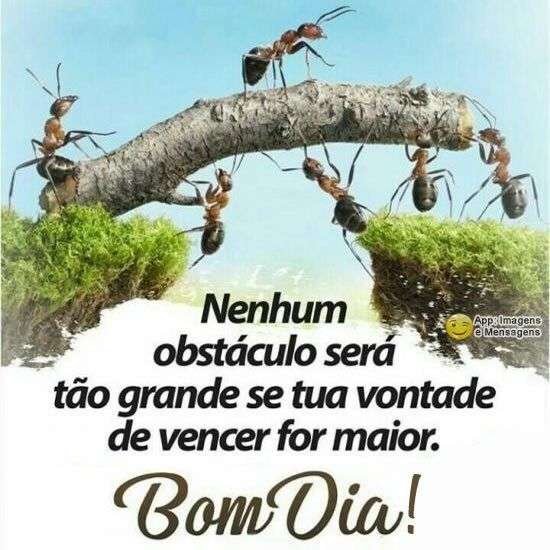 Bom dia
