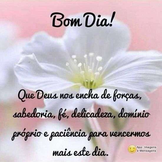 Bom dia