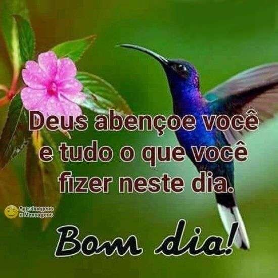 Bom dia