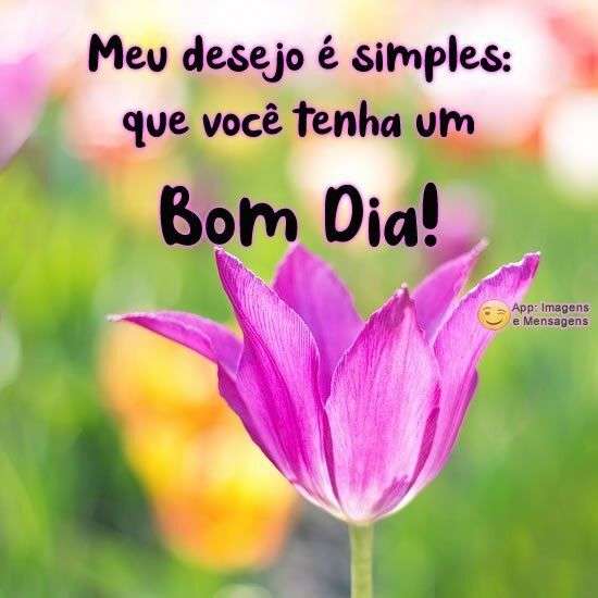 Bom dia, Recado X - 2738. Bom dia, Recado X - 2738.