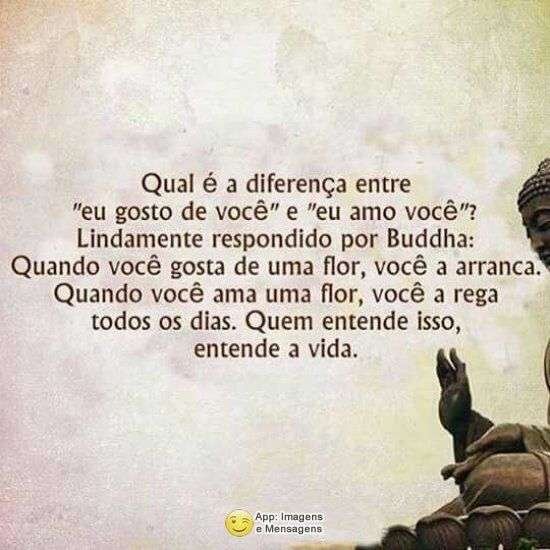 Diferença entre gostar e amar