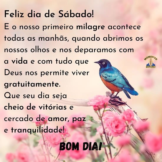 Mensagens de dia feliz para compartilhar | Recado X, página 19 Mensagens de dia feliz para compartilhar | Recado X, página 19