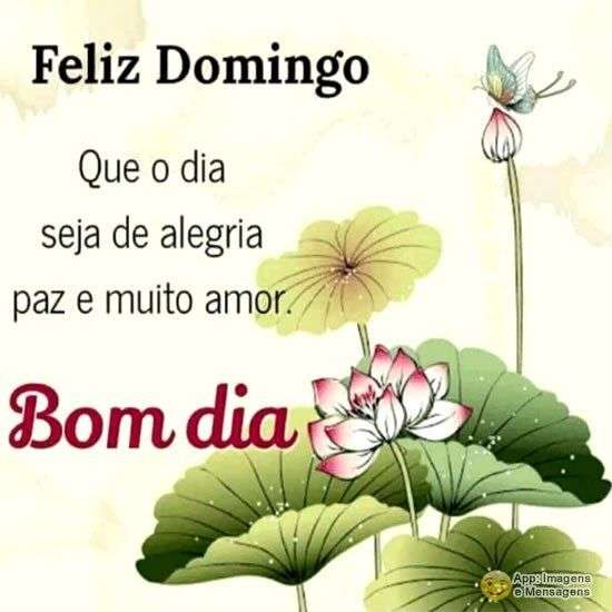 Feliz domingo