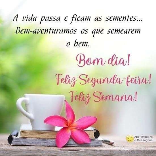 Feliz segunda-feira