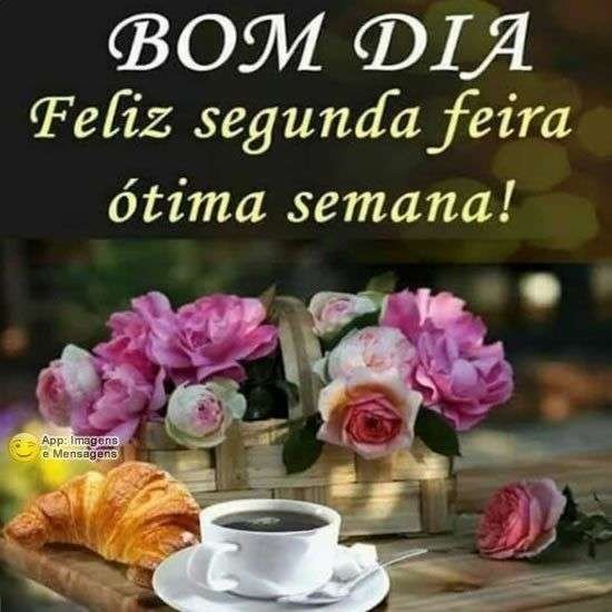 Feliz segunda-feira