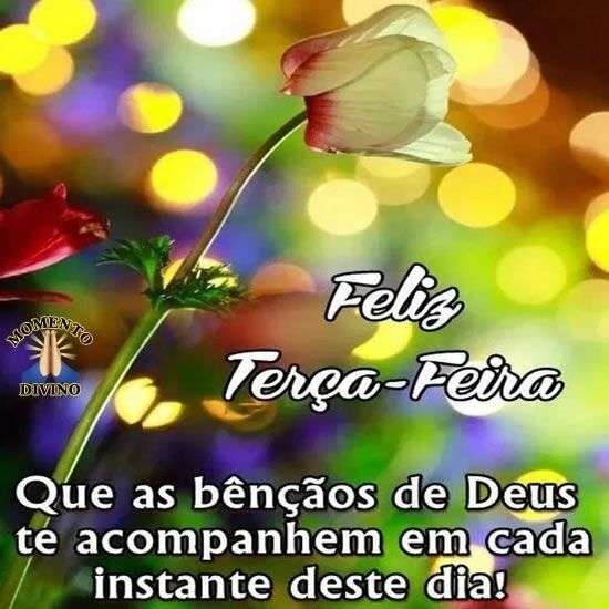 Feliz terça-feira