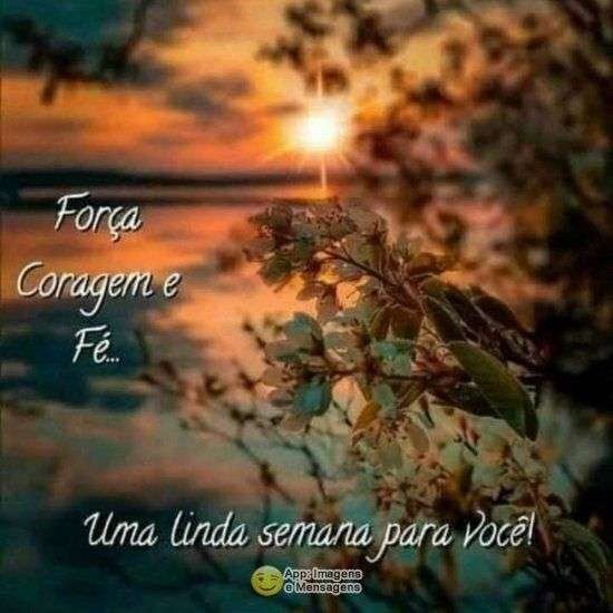 Linda semana pra você