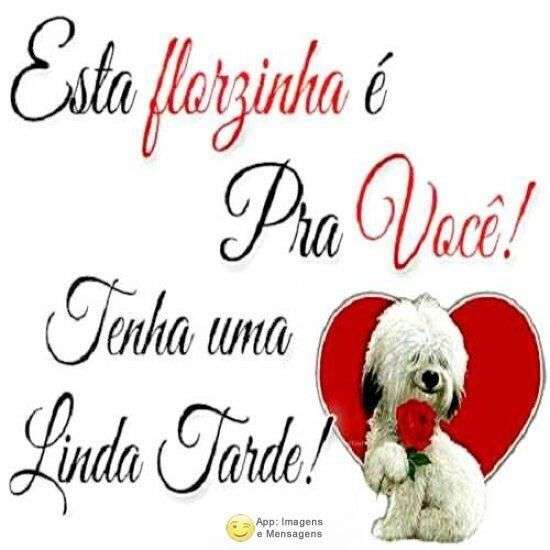 Linda tarde