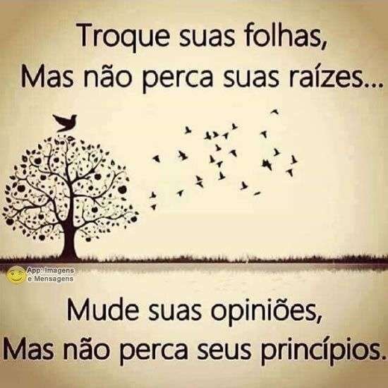 Não perca seus princípios