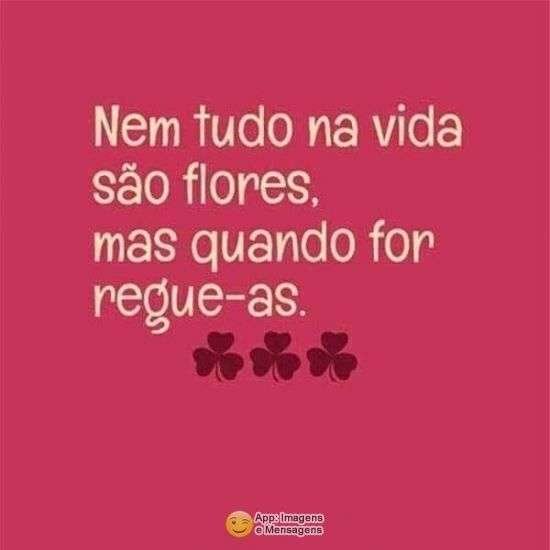 Nem tudo são flores