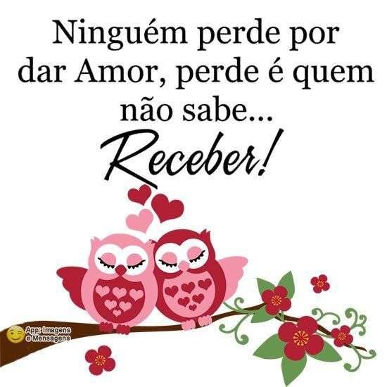 Ninguém perde por dar amor