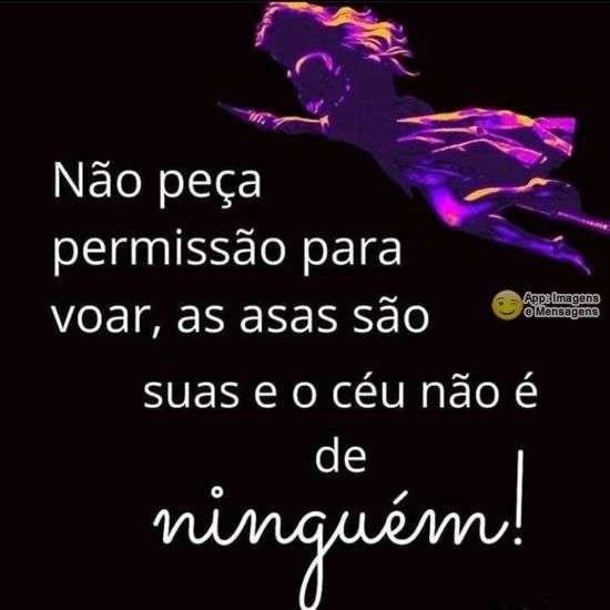 Permissão para voar