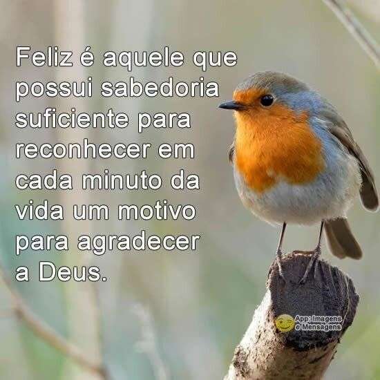 Sabedoria para agradecer