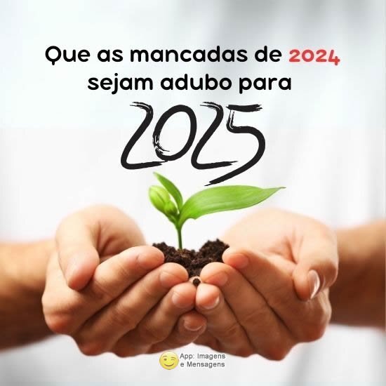 Adubo para o ano novo