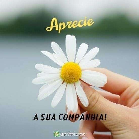 Aprecie a sua companhia