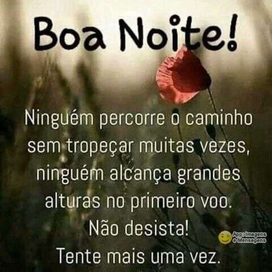 Boa noite