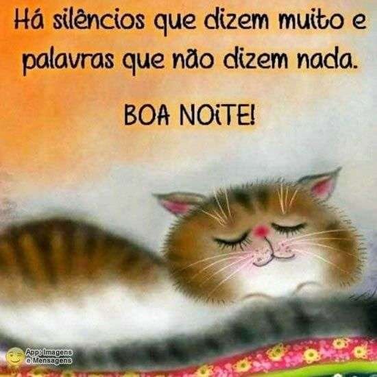 Boa noite