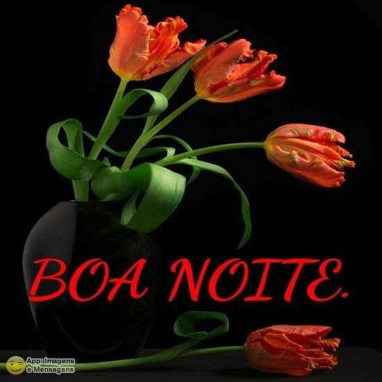 Boa noite