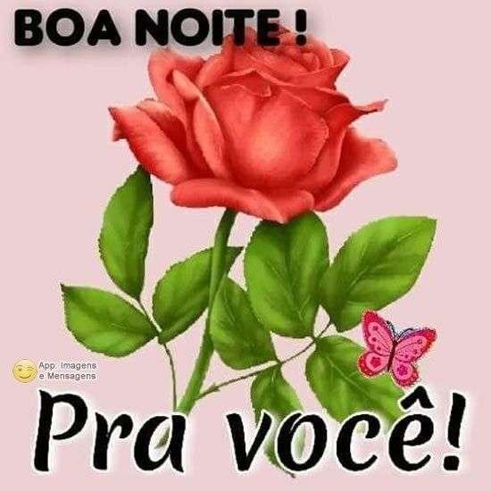 Boa noite