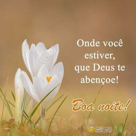 Boa noite