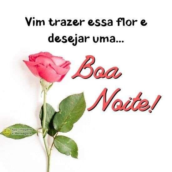 Boa noite