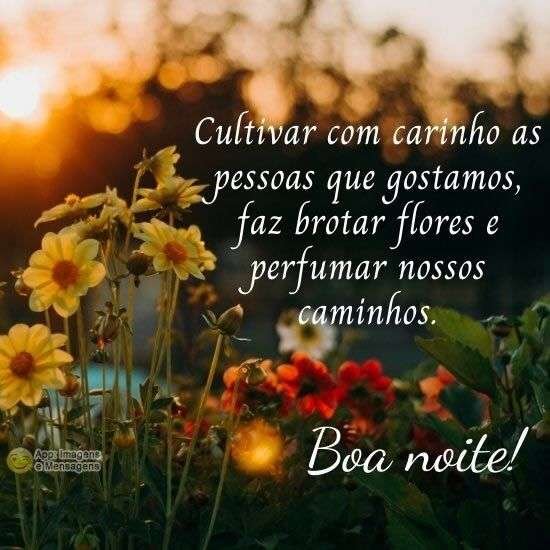 Boa noite