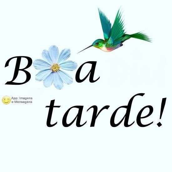 Boa tarde