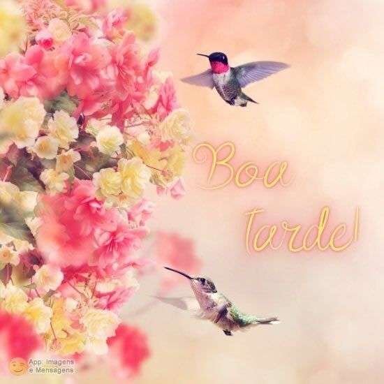Boa tarde