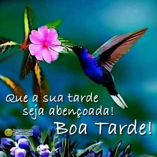 Boa tarde abençoada