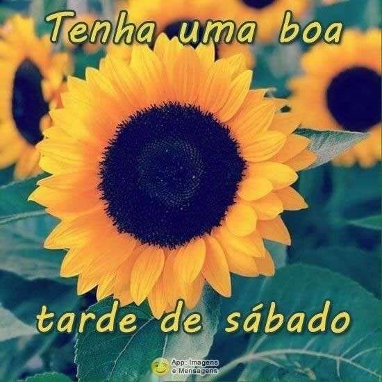 Boa tarde de sábado